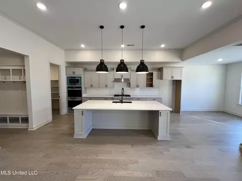 6733 W Sunrise Loop W, Olive Branch, MS 38654 photo 5