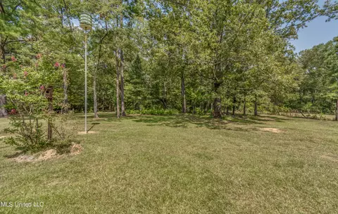 842 Gore Rd, Jackson, MS 39212 photo 38