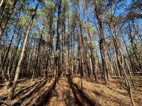 1 Levi Cooper Rd, Braxton, MS 39044 photo 11
