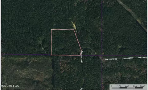 1 Levi Cooper Rd, Braxton, MS 39044 photo 2