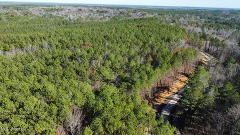 1 Levi Cooper Rd, Braxton, MS 39044 photo 10