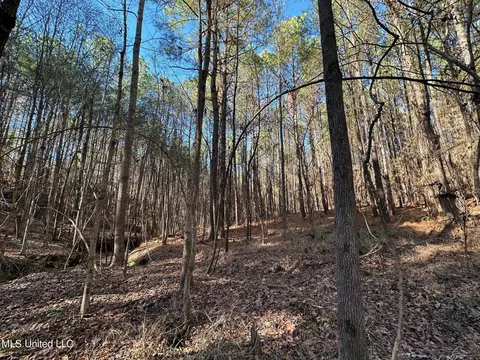 1 Levi Cooper Rd, Braxton, MS 39044 photo 14