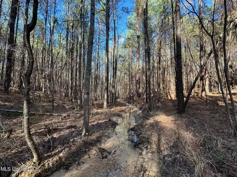 1 Levi Cooper Rd, Braxton, MS 39044 photo 16