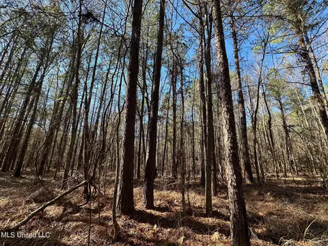 1 Levi Cooper Rd, Braxton, MS 39044 photo 12