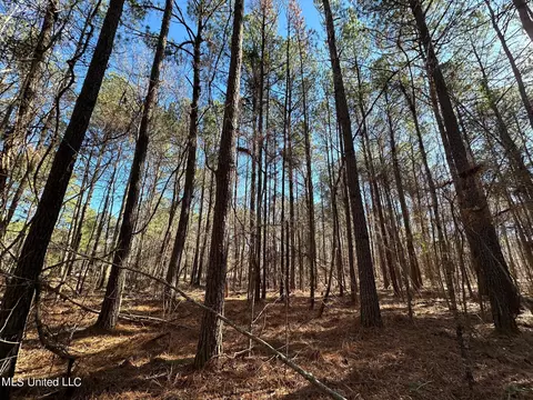 1 Levi Cooper Rd, Braxton, MS 39044