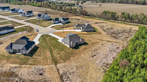 160 Landry Dr, Brandon, MS 39047 photo 48