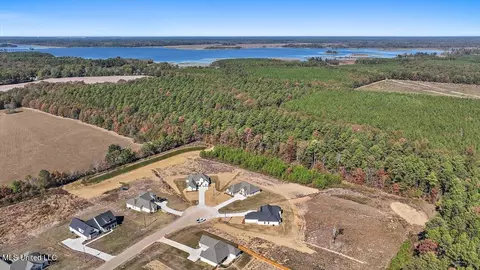 160 Landry Dr, Brandon, MS 39047 photo 60