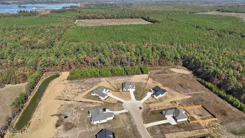 160 Landry Dr, Brandon, MS 39047 photo 59