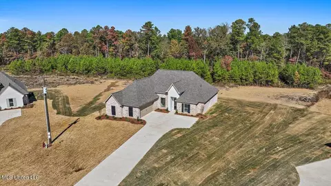 160 Landry Dr, Brandon, MS 39047 photo 42