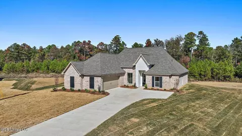 160 Landry Dr, Brandon, MS 39047 photo 41