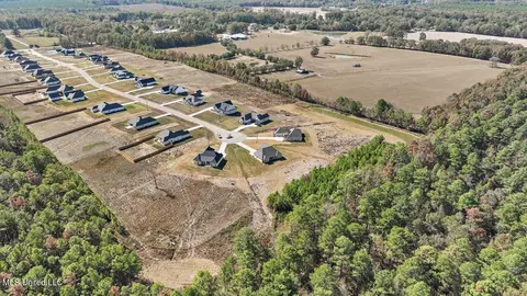 160 Landry Dr, Brandon, MS 39047 photo 54