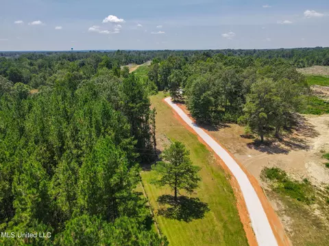 893 Owen Boone Rd, Brandon, MS 39042 photo 6