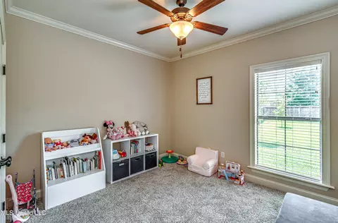 105 Copper Ridge Ct, Madison, MS 39110 photo 25