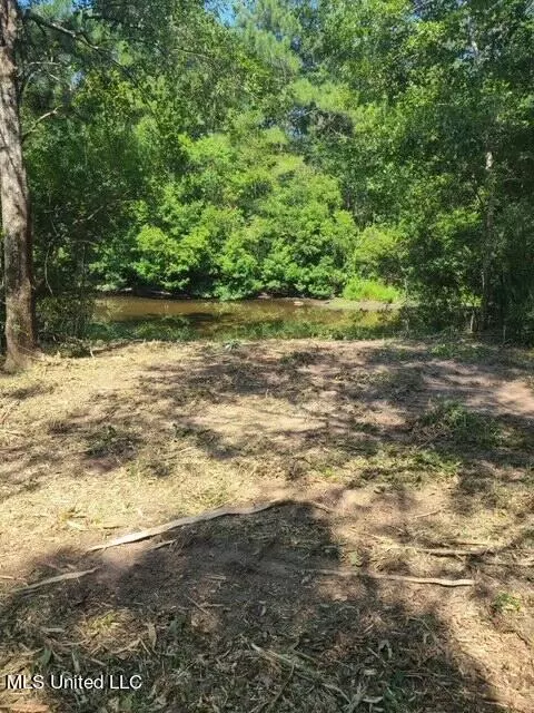Nhn Wild Cherry Trace, Carriere, MS 39426