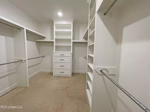 Other - 203 Wethersfield Dr, Florence, MS 39073 photo 5 of 12