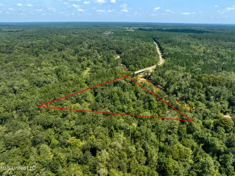 Red Creek Road, Lucedale, MS 39452 photo 6