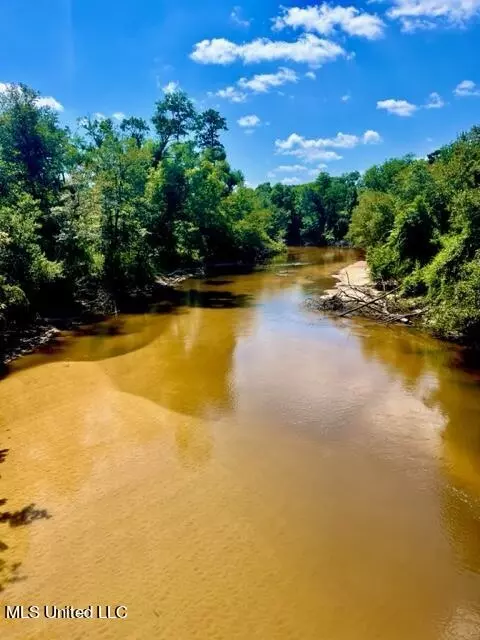 Red Creek Road, Lucedale, MS 39452 photo 14