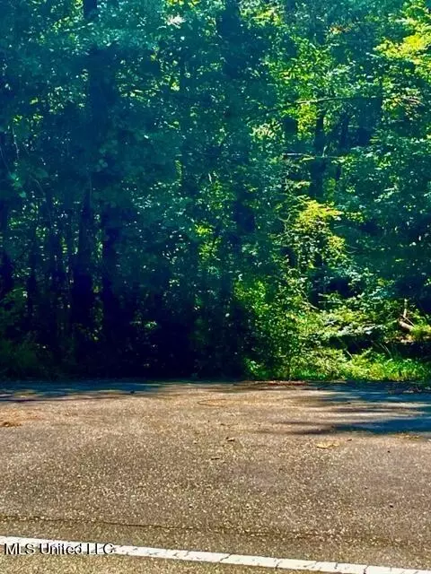 Red Creek Road, Lucedale, MS 39452 photo 2