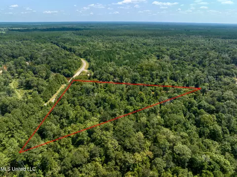 Red Creek Road, Lucedale, MS 39452 photo 5