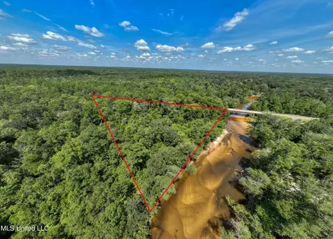 Red Creek Road, Lucedale, MS 39452 photo 9