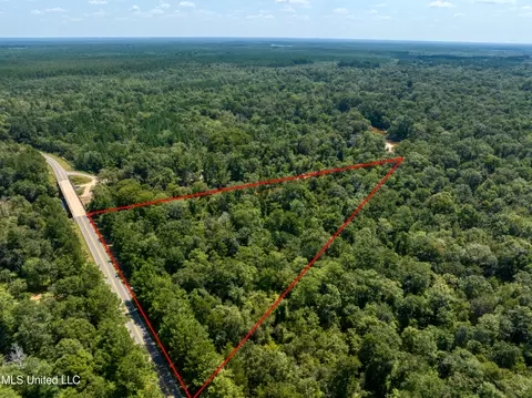 Red Creek Road, Lucedale, MS 39452 photo 4