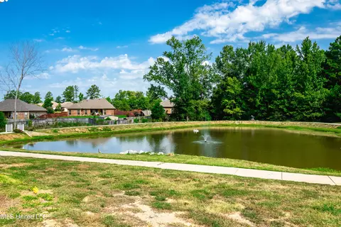160 Cornerstone Dr, Madison, MS 39110 photo 39