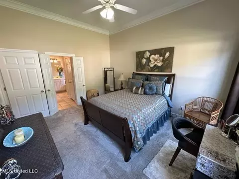 207 Stoneybrook Dr, Brandon, MS 39042 photo 15
