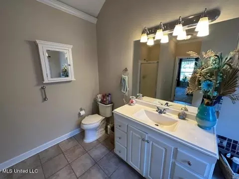 207 Stoneybrook Dr, Brandon, MS 39042 photo 19