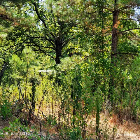 147 Hill Rd, Florence, MS 39073