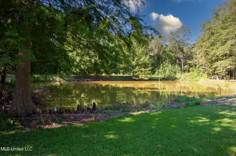 1591 Owens Rd, Terry, MS 39170 photo 3