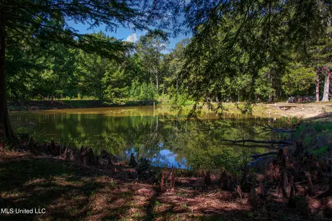 1591 Owens Rd, Terry, MS 39170 photo 5