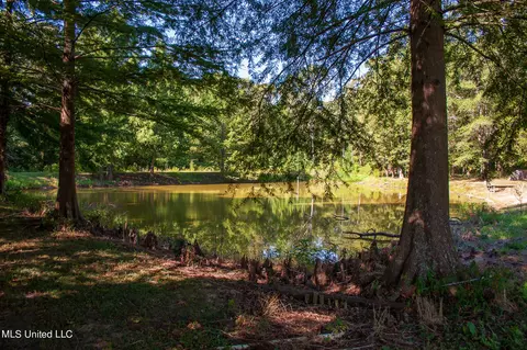 1591 Owens Rd, Terry, MS 39170 photo 4