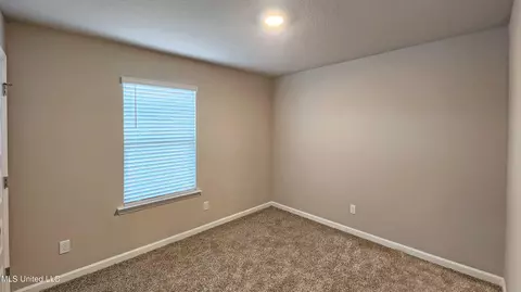 89 Jaden Ct, Lucedale, MS 39452 photo 12