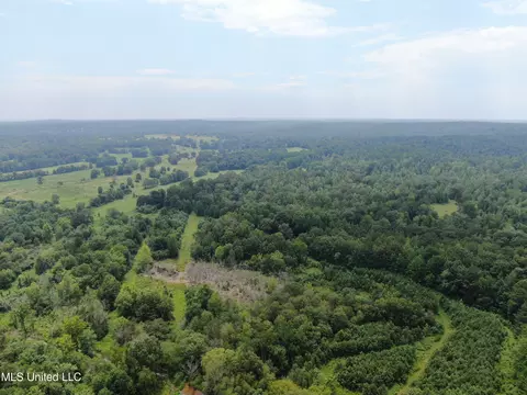 449 Emmitt Weeks Rd, Waterford, MS 38685