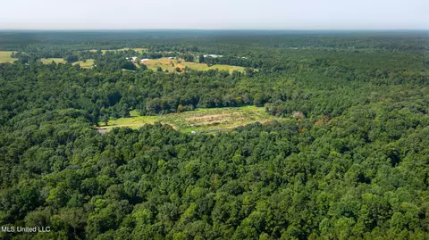 370 Scr 558b1, Pulaski, MS 39152 photo 29