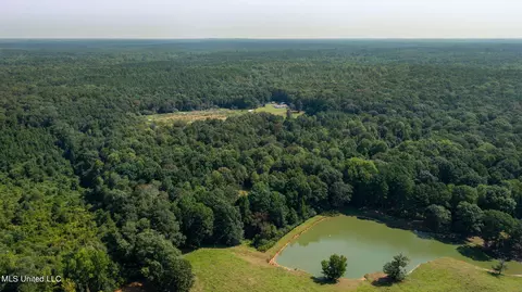 370 Scr 558b1, Pulaski, MS 39152 photo 24