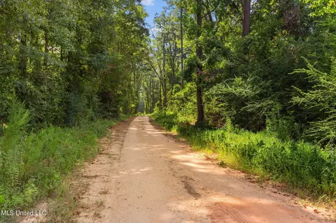 370 Scr 558b1, Pulaski, MS 39152 photo 23