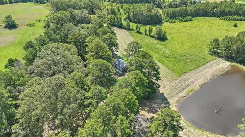 1758 Lisa Ln, Terry, MS 39170 photo 27