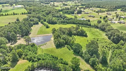1758 Lisa Ln, Terry, MS 39170 photo 11