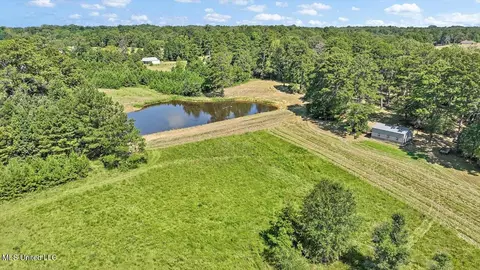 1758 Lisa Ln, Terry, MS 39170 photo 41