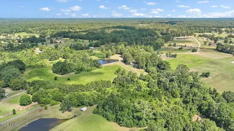 1758 Lisa Ln, Terry, MS 39170 photo 17