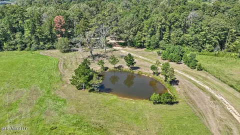 1758 Lisa Ln, Terry, MS 39170 photo 30