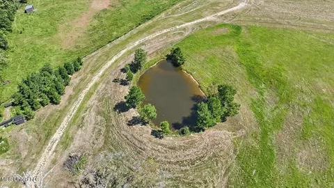 1758 Lisa Ln, Terry, MS 39170 photo 2