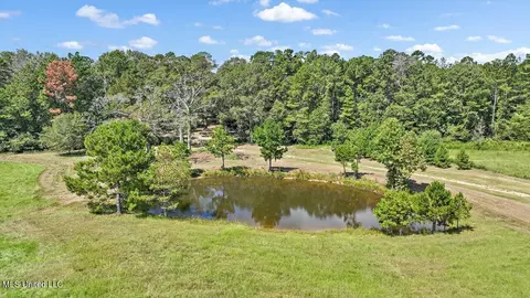 1758 Lisa Ln, Terry, MS 39170 photo 43