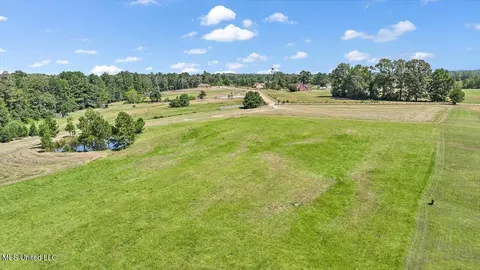 1758 Lisa Ln, Terry, MS 39170 photo 42