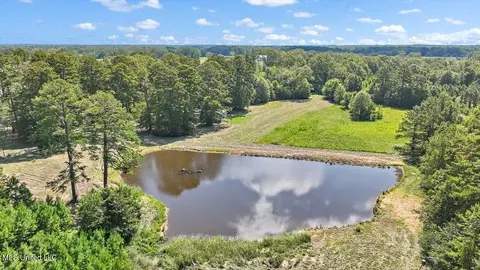 1758 Lisa Ln, Terry, MS 39170 photo 36
