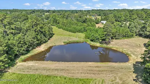 1758 Lisa Ln, Terry, MS 39170 photo 37