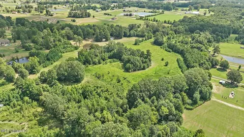 1758 Lisa Ln, Terry, MS 39170 photo 13