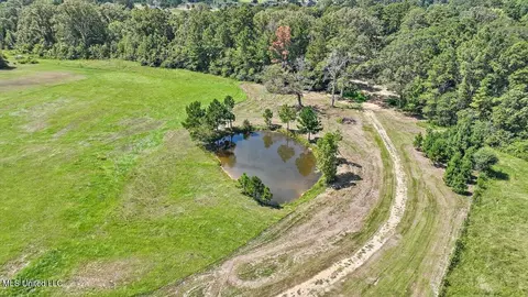 1758 Lisa Ln, Terry, MS 39170 photo 31
