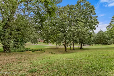 Robertson Road, Hernando, MS 38632 photo 4